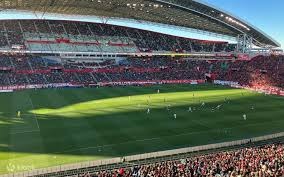 亚特兰大勇士队王牌斯特里德因肘部手术 2024 赛季报销，打击卫冕之路