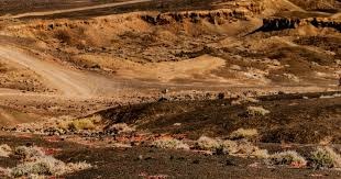 王者集结！2021首届王者荣耀微博杯总决赛今日开战